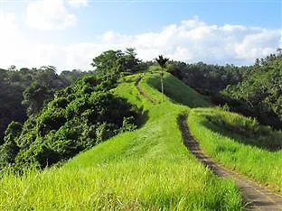 Ani'S Villas Ubud