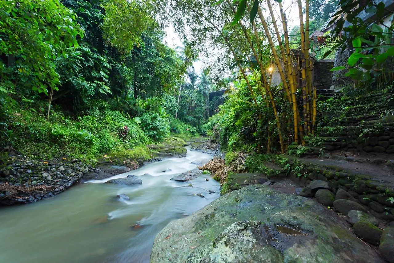 Ani'S Villas Ubud